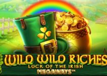 Wild Wild Riches Oyuncu Yorumları